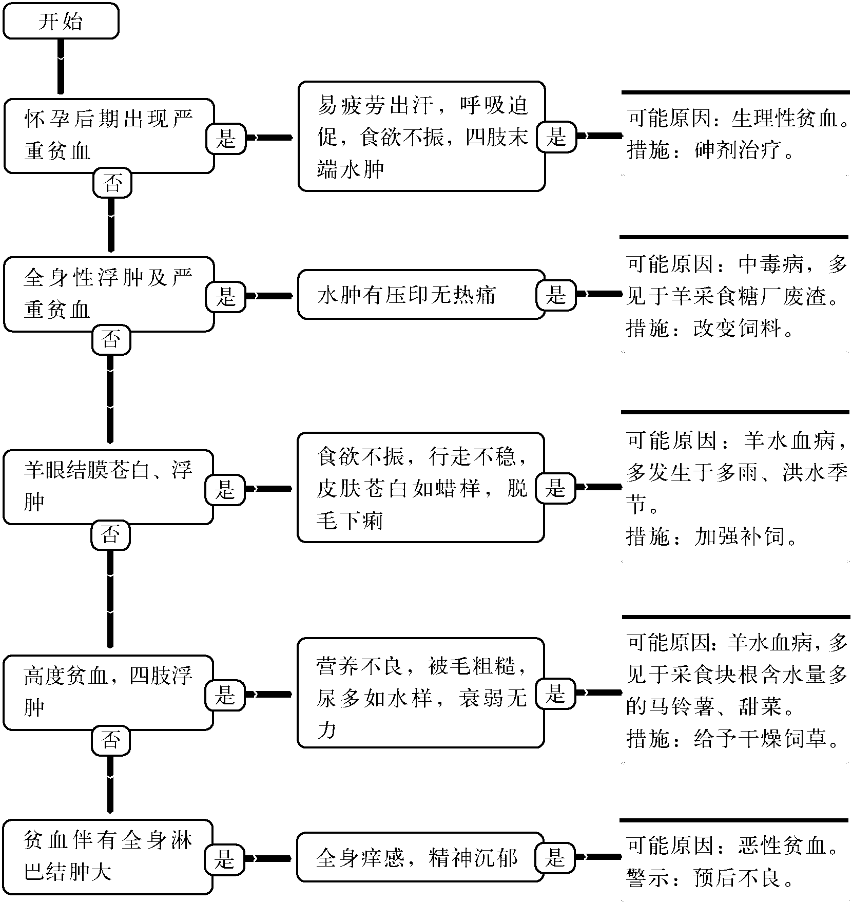 36.血液疾病